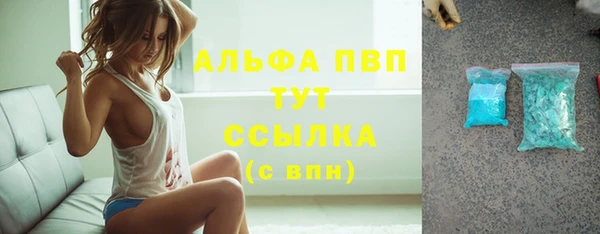 PSILOCYBIN Гусев