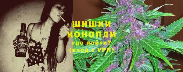 PSILOCYBIN Гусев