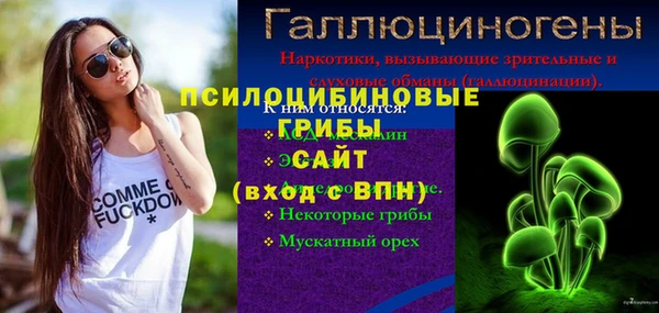 PSILOCYBIN Гусев