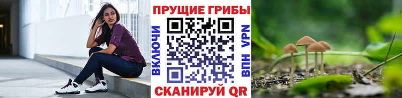 Псилоцибиновые грибы Psilocybine cubensis  Сызрань 